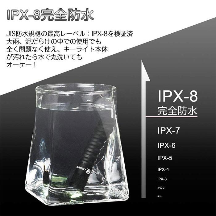 懐中電灯 LED 強力 ライト 小型 電池式 キーホルダー ミニ 携帯ライト ルミントップ EDC01 明るい |  | 03