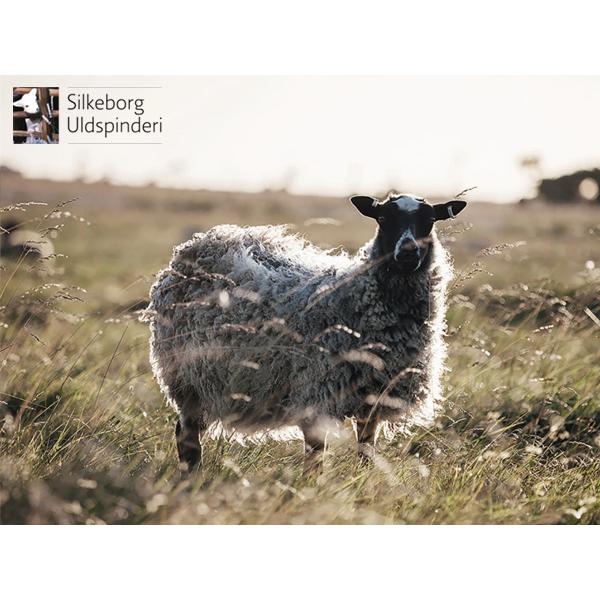 Silkeborg Plaids（シルケボープレード） シルケボー Silkeborg