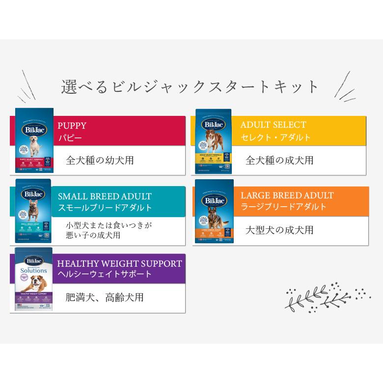 初回お試し】ビルジャックスタートキットビルジャックオリジナルカップ