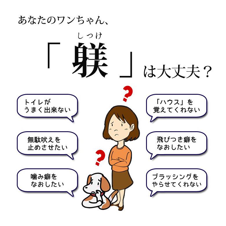 ビルジャック レバートリーツ113g トリーツ 犬 おやつ 低カロリー 犬のおやつ ペット 鶏肉 レバー 無添加 人気 おすすめ しつけ |  | 02
