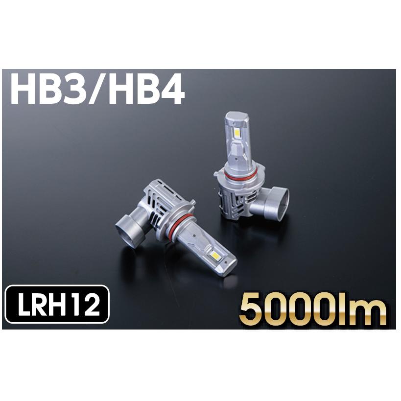 ヴァレンティ Valenti LED ヘッド＆フォグバルブ RH 【HB3/HB4 共用 