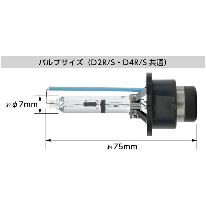 POLARG 日星工業 ポラーグ 純正交換用HIDバルブ D4R / D4S共用 5800lm