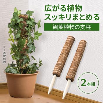 観葉植物の支柱 2本組 支柱 ココスティック 連結可 植物 観葉植物支柱