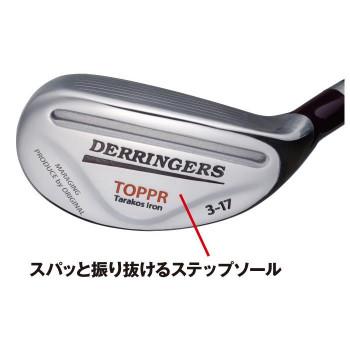 デリンジャートッパ(突破)タラコアイアン 5番 シャフト硬度SR DTT-05