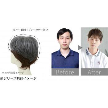 プリシラ 男性用5分ウィッグ ボリュームショート 耐熱 ダーク