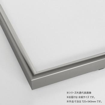 大仙 デッサン額 9916 AC 全紙 シルバー 32D916A51S0の画像