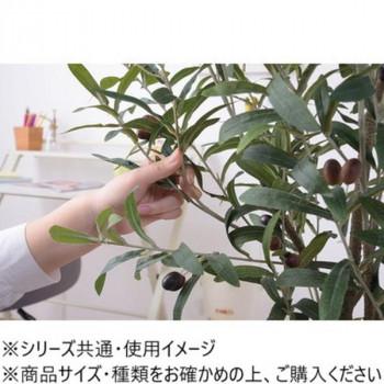 東谷 フェイクグリーン オリーブ グリーン GRN-17の画像