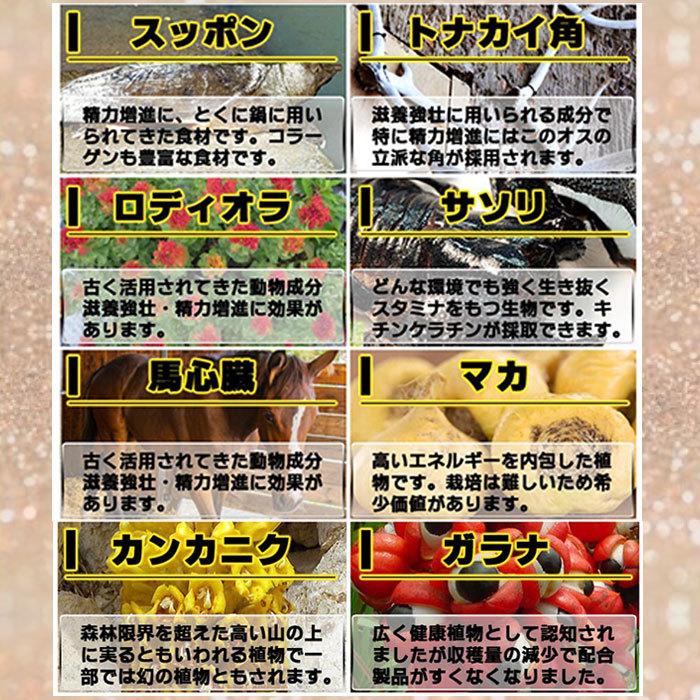 マカ 活力剤 L シトルリン L アルギニン 男性 精力 増大 すっぽん 亜鉛 カンカ サソリ 黒胡椒 Blow Up ブローアップ 30粒 国産 Blowup1 Phantomstore 通販 Yahoo ショッピング