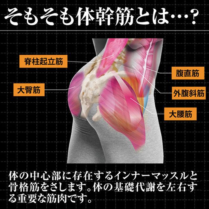 ダイエットインソール 体幹筋エクササイズインソールツインボール S M L LL 3L 4L 中敷き 体幹 衝撃吸収 カロリー消費UP トレーニング 送料無料 | ブランド登録なし | 05