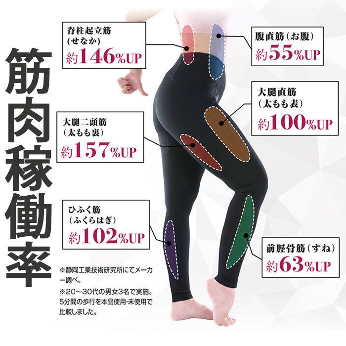 体幹 ダイエット インソール 中敷き 骨盤 筋力up カロリー消費up 体幹筋エクササイズインソールツインボール Exercisesole1 Phantomstore 通販 Yahoo ショッピング