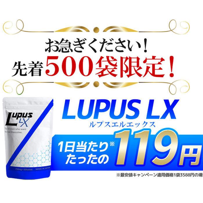 LUPUS LX (ルプス エルエックス) 活力剤 L-シトルリン L-アルギニン α-GPC ブラックジンジャー 30粒 男性 精力 増大 国産｜phantom-store｜07