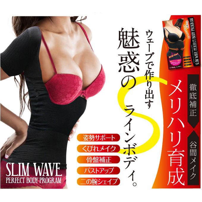 着圧 スリムウェーブ パーフェクトボディプログラム バストアップ 二の腕サポーター 猫背 引き締め ダイエット 痩せ | 