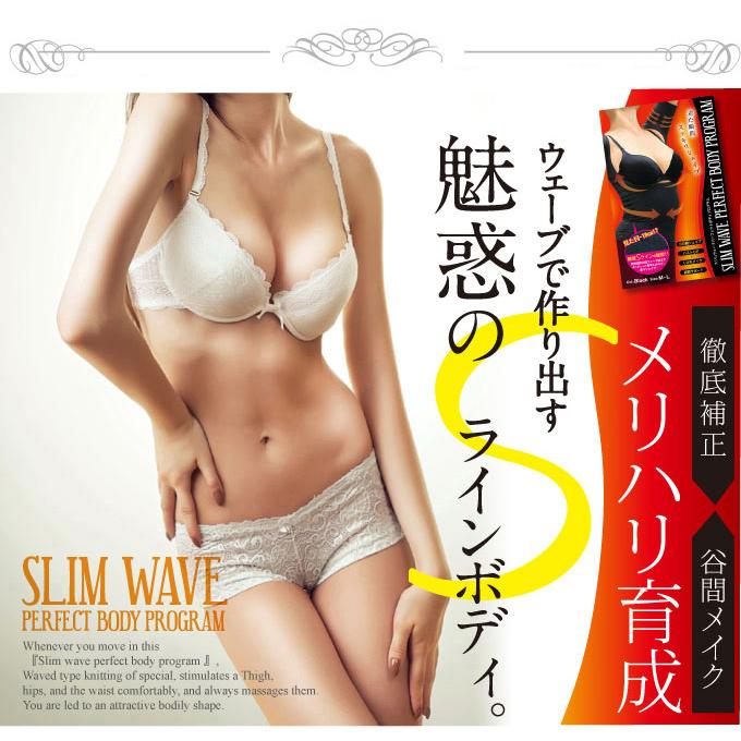 着圧 スリムウェーブ パーフェクトボディプログラム バストアップ 二の腕サポーター 猫背 引き締め ダイエット 痩せ |  | 04