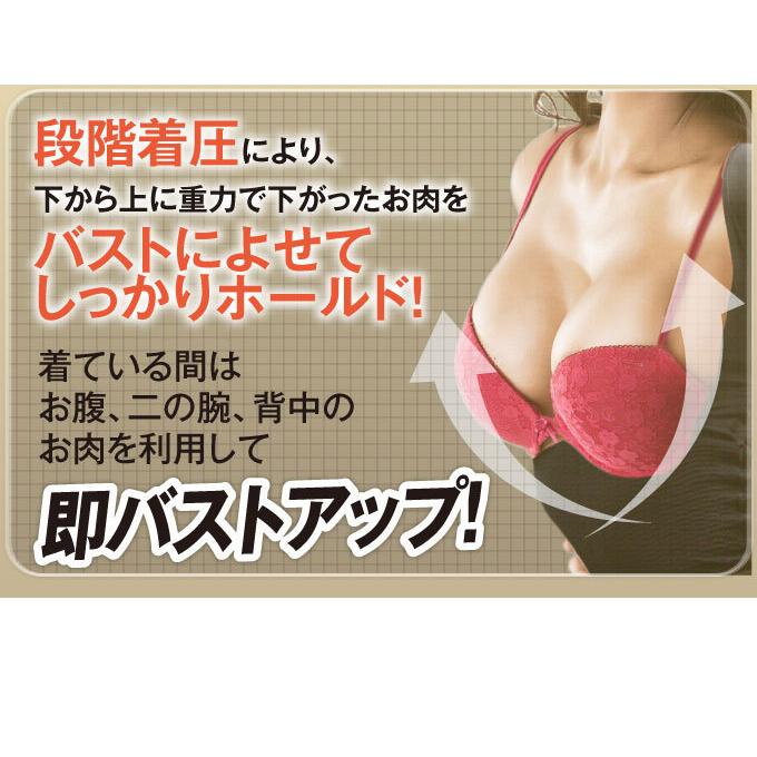 着圧 スリムウェーブ パーフェクトボディプログラム バストアップ 二の腕サポーター 猫背 引き締め ダイエット 痩せ |  | 08