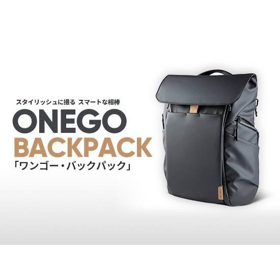 PGYTECH OneGo BackPack（ワンゴー バックパック）ブラック