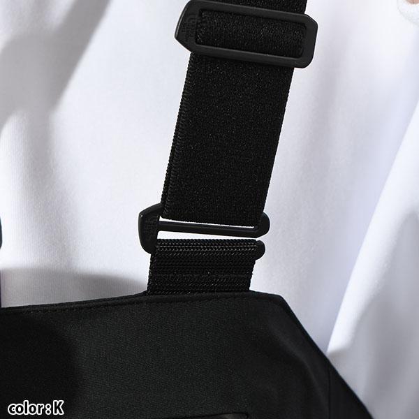 【新品】ノースフェイス スノボウェア ビブパンツ メンズ スキー アウトドア THE NORTH FACE ノースフェイス メンズ 高機能 GORE-TEX 3層