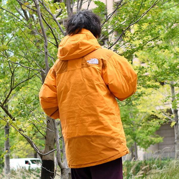 THE NORTH FACE マウンテンダウンジャケット　ゴアテックス THE NORTH FACE（ザ ノースフェイス） ノースフェイス 高品質 GORE-TEX