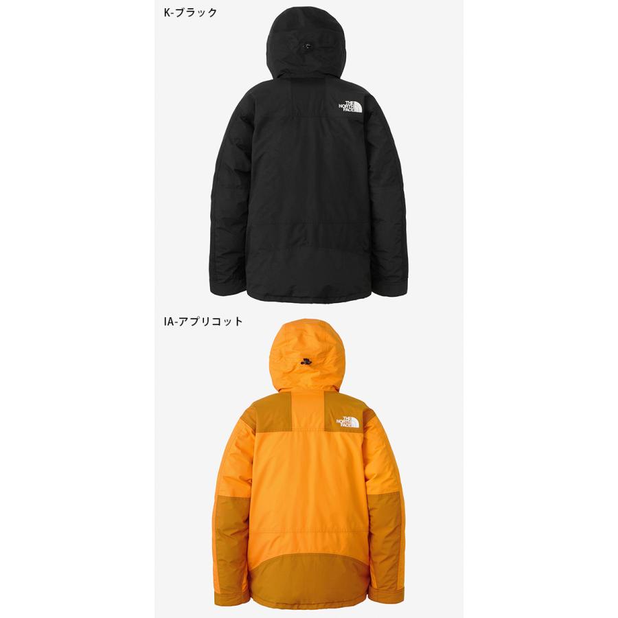 The North Face GORE-TEX マウンテンダウンコート　Lサイズ THE NORTH FACE（ザ ノースフェイス） ノースフェイス 高品質 GORE-TEX
