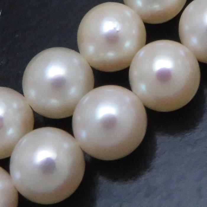 MIKIMOTO（ミキモト） パールネックレス 2連 40.5cm 真珠5.5〜6ミリ