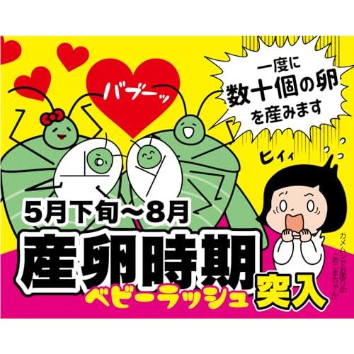 アップリード さらば!!カメムシッ（カメムシ忌避剤）パック |  | 03