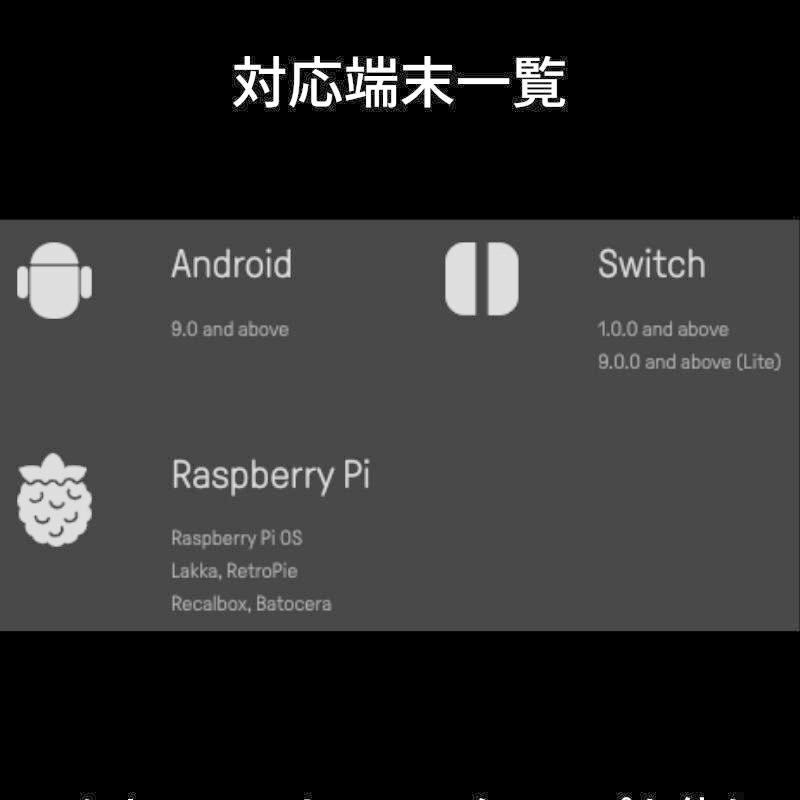 コントローラー スイッチ 8bitdo lite 2 ワイヤレス ゲームパッド | 8BitDo | 05