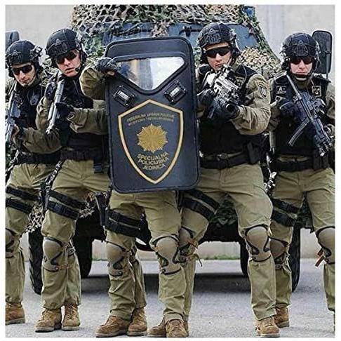 アークテリクス ニーキャップ ニーカップ ニーパッド プロテクター ARC