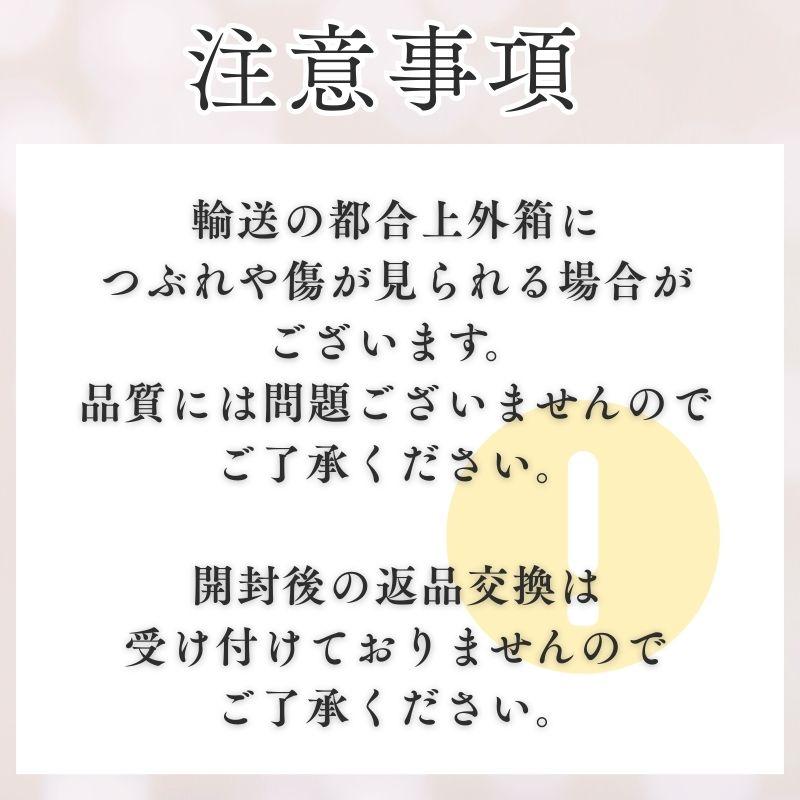 ポール&ジョー 下地 モイスチュア ライジング プライマー ファンデーション 03 30ml 2個 | PAUL&JOE | 06