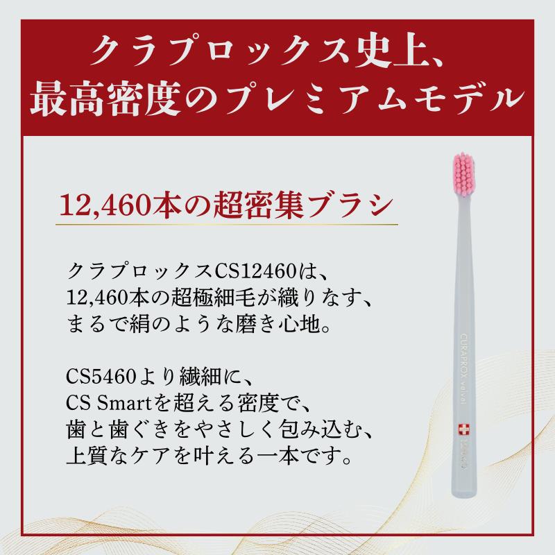 CURAPROX（クラプロックス） 歯ブラシ 歯ブラシセット CS12460 10本
