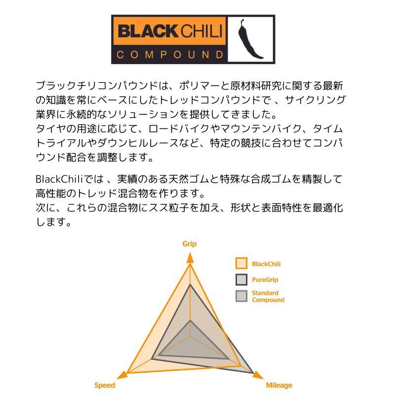コンチネンタル（CONTINENTAL） チューブレスレディ グランプリ 5000