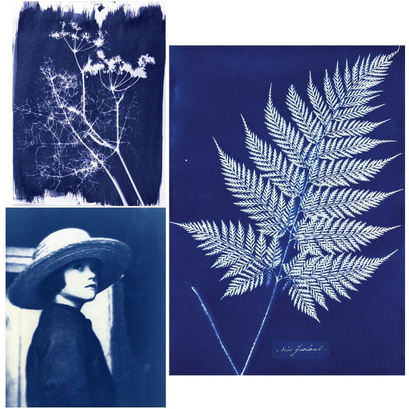 Jacquard ジャカード シアノタイプ 増感剤セット サイアノタイプ 青