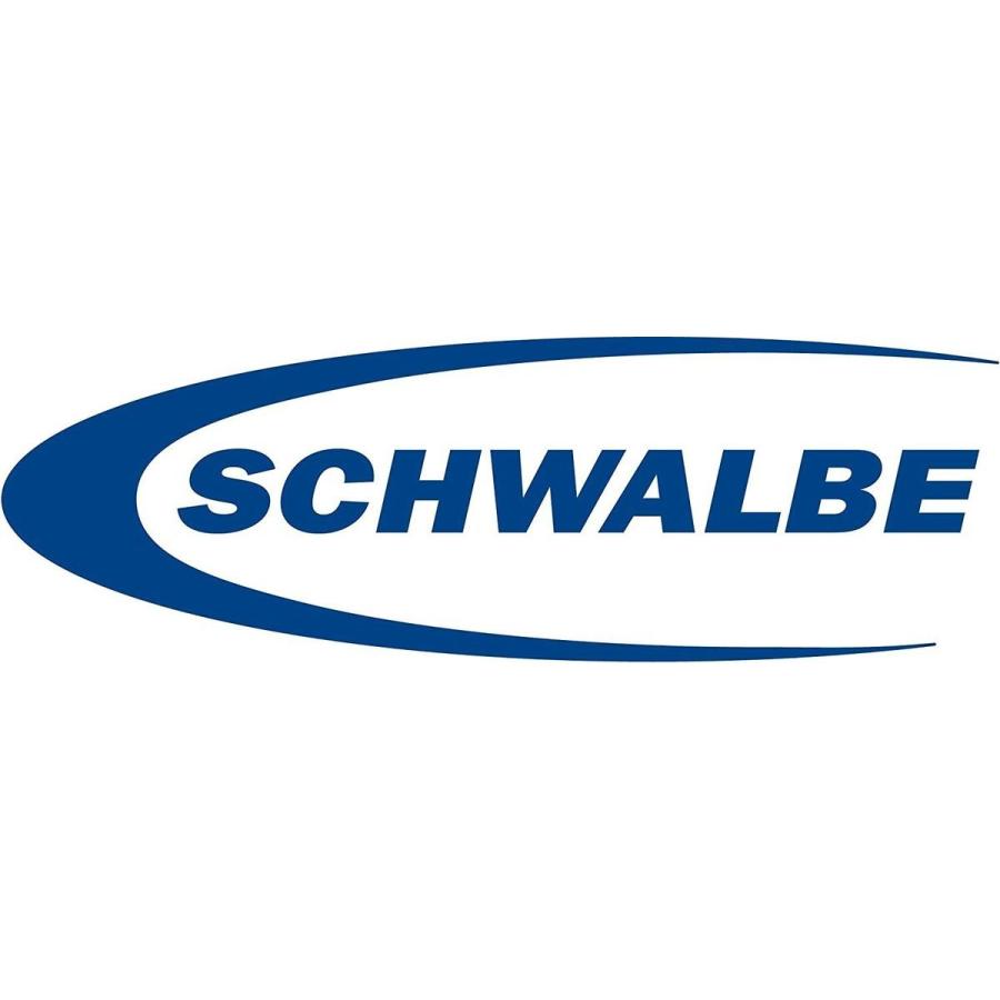 SCHWALBE（シュワルベ） 空気入れ 自転車 タイヤブースター : KKPL