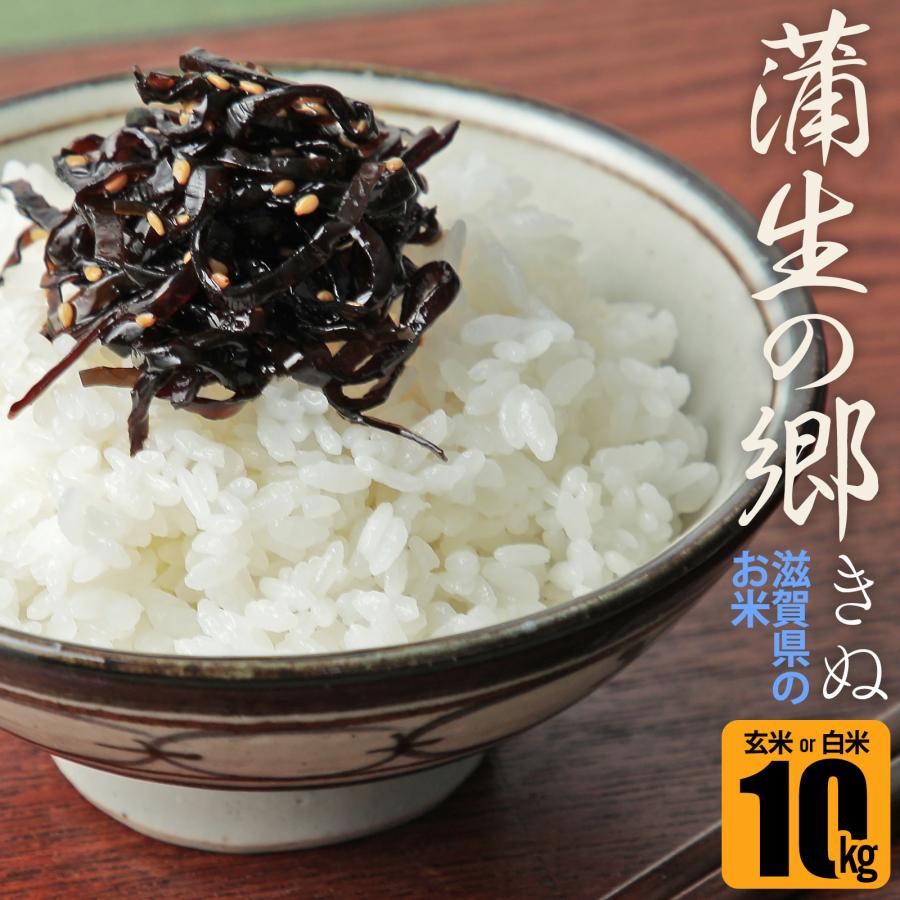 滋賀県農家のお米「蒲生の郷 きぬ」令和7年度産 玄米 10kg 未検査米