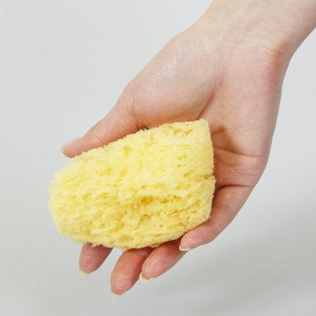 海面 気持ちいい天然海綿スポンジ ボディー用 Mサイズ [高級品 カリブ
