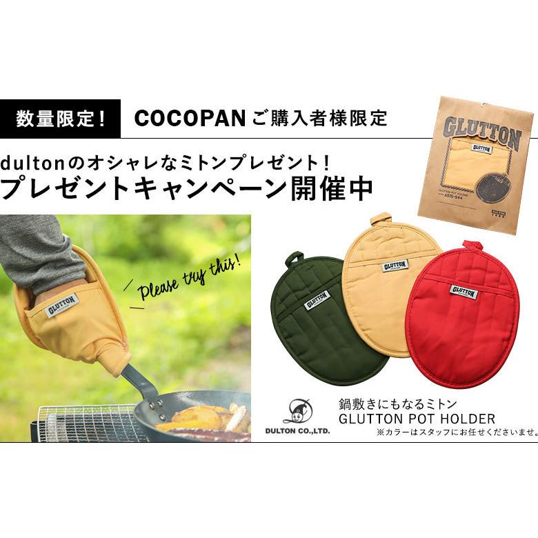 22cm COCOpan IH対応  オンラインショップ 鉄 フライパン  極 SONS ベーシック  日本製 C101-005