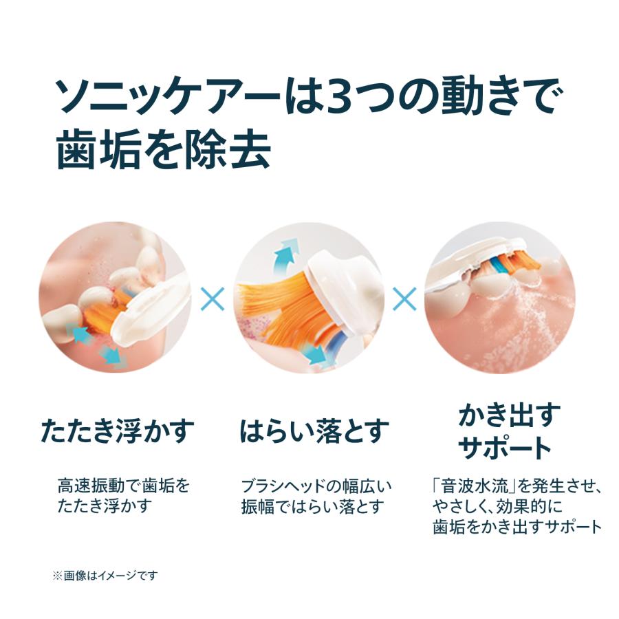 Philips（フィリップス） 公式ストア専用カラー 電動歯ブラシ 替え