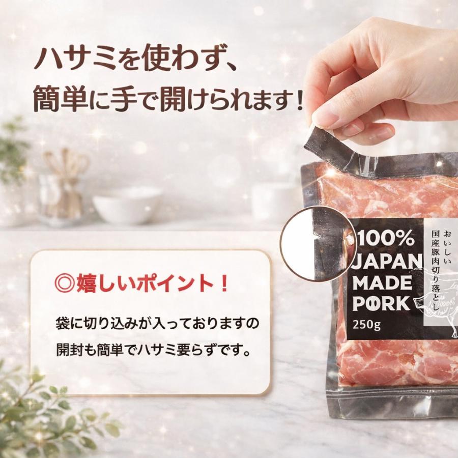 国産 豚肉 小分け パック ご自宅用 真空包装 冷凍 豚こま肉 長期保存