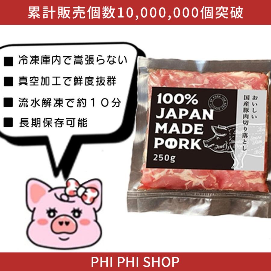 国産 豚肉 小分け パック ご自宅用 真空包装 冷凍 豚こま肉 長期保存