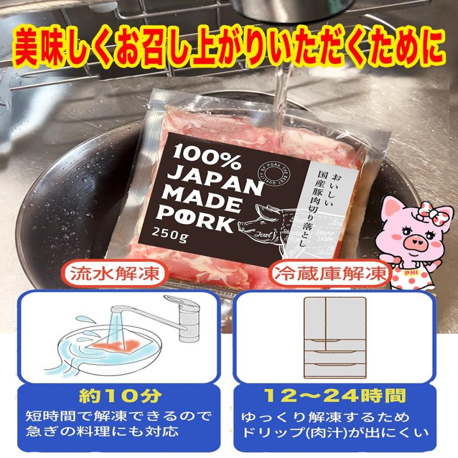 国産 豚肉 小分け パック ご自宅用 真空包装 冷凍 豚こま肉 長期保存