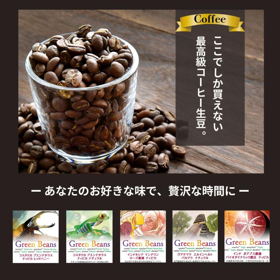 グアテマラ グリーンコーヒー生豆 10㎏ 【公式通販】