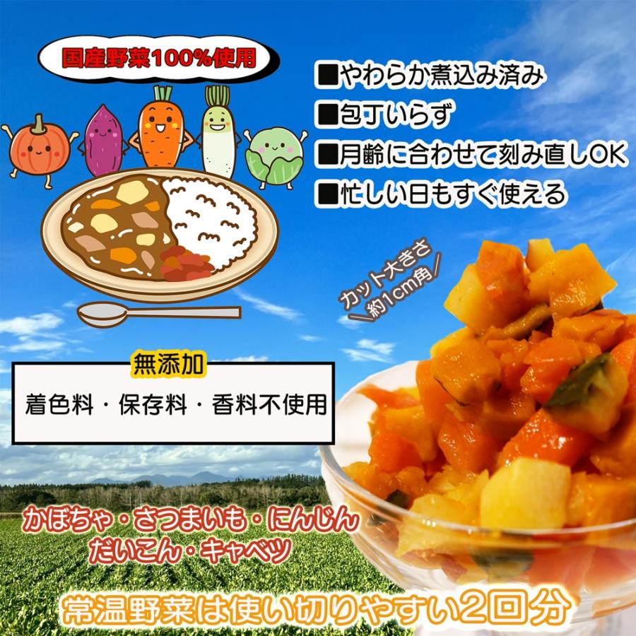 国産野菜のやさしいカレーキット ※着指定不可 こどもカレー粉 国産カット野菜セット 甘口 グルテンフリー 無添加 アレルギー28品目不使用 離乳食 ベビー 非常食 |  | 02