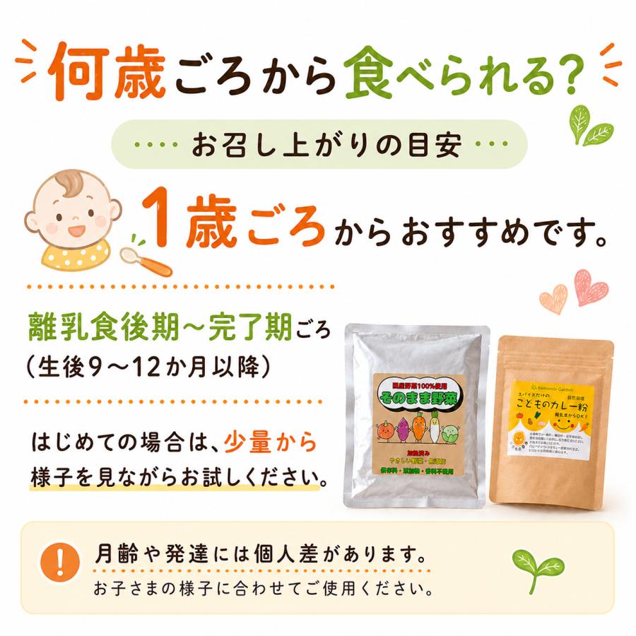 離乳食 幼児食 カレーキット 国産野菜 1歳ごろから そのまま食べられる 非常食 無添加 甘口 アレルギー対応 |  | 04