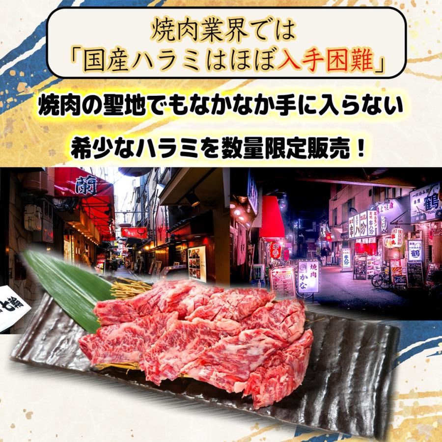 【月間数量60個限定販売】 希少な 国産牛 牛ハラミ 大阪鶴橋 400g(200g×2p) BBQ 焼肉用 ハラミ ホルモン 上ハラミ 牛肉 高級 肉ギフト |  | 03