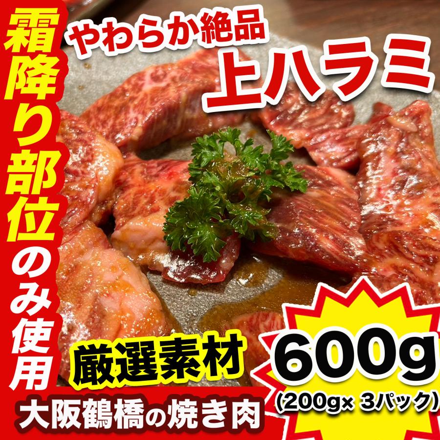 牛ハラミ 国産牛　600g ( 200g× 3パック) BBQ 肉 ハラミ ホルモン 牛肉 上ハラミ 真空パック 大阪鶴橋 国産 高級 ハラミ肉 上はらみ 焼肉 | 