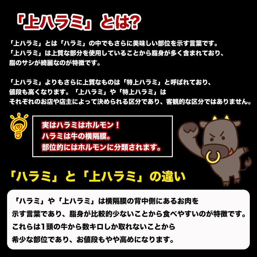牛ハラミ 国産牛　600g ( 200g× 3パック) BBQ 肉 ハラミ ホルモン 牛肉 上ハラミ 真空パック 大阪鶴橋 国産 高級 ハラミ肉 上はらみ 焼肉 |  | 04