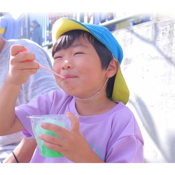 ジェフダ（JFDA） かき氷シロップ 【 マンゴー 】 (1本 1.8L） 業務用
