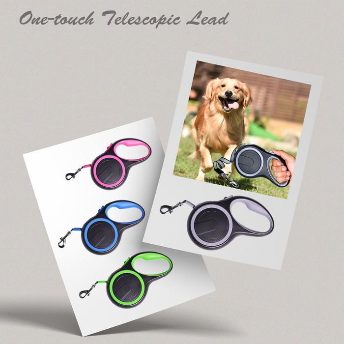 セール　ワンタッチ　簡単操作　5M伸縮リード　お散歩　犬 リード　テープリード 在庫限りセール ワンタッチ 簡単操作 5M伸縮リード PAA0008 お