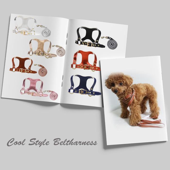 クールスタイルベルトハーネス＆リードセット 小型犬 ペット用 犬具