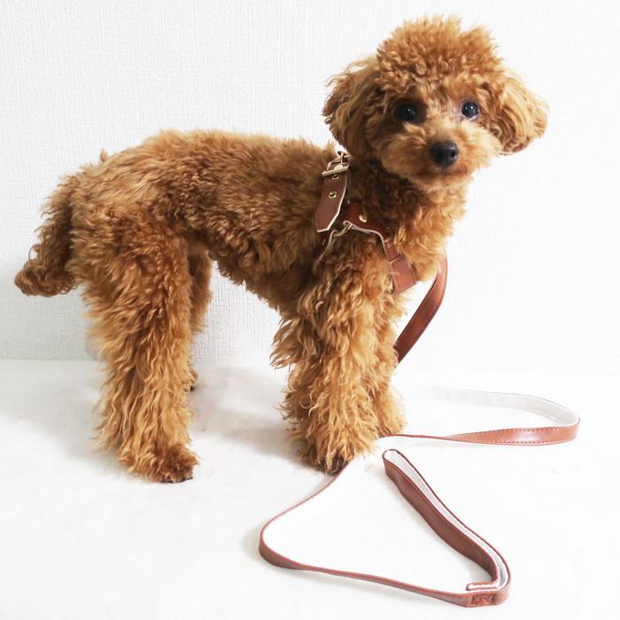クールスタイルベルトハーネス＆リードセット 小型犬 ペット用