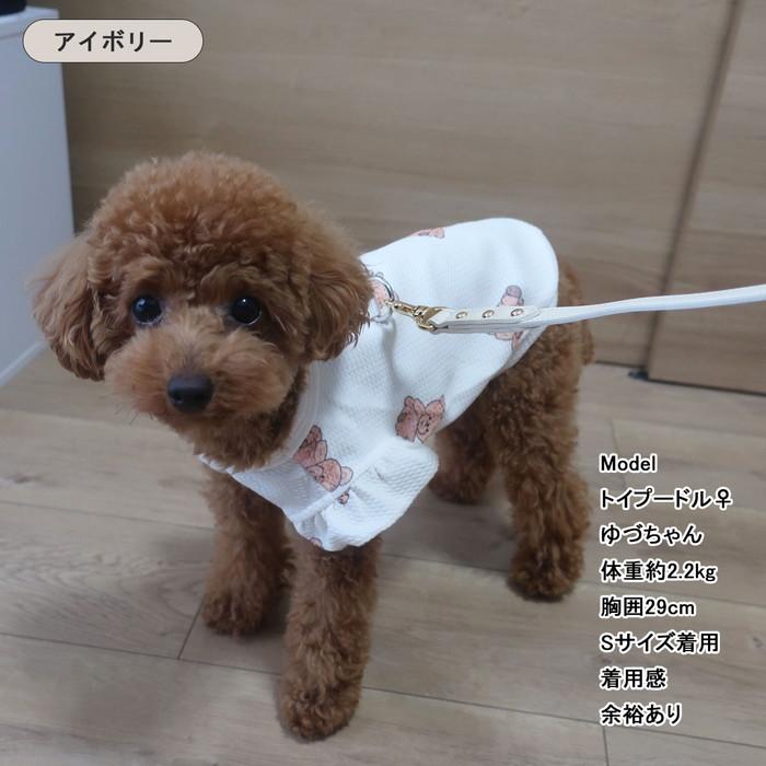 Dカン付き くまちゃんプリント ワッフルTシャツ 伸縮性 犬服