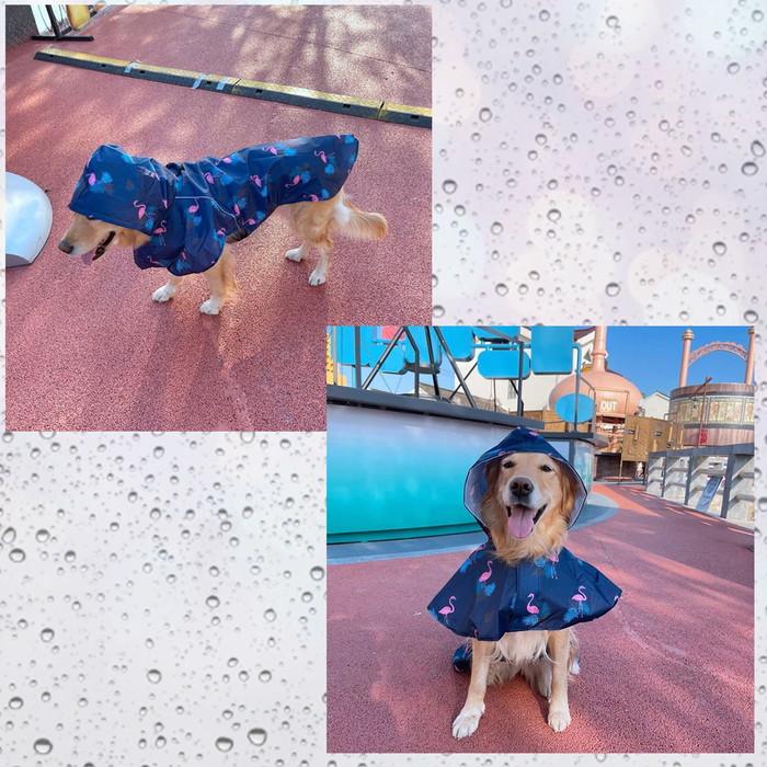 フラミンゴ柄レインコート　レインウェア　犬服　猫服　ドッグウエア　ペット服　梅雨　雨具　散歩アイテム　簡単装着　フード　PAE0018 送料無料｜phiria｜10